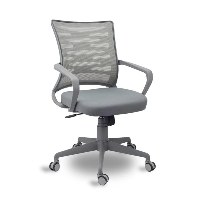 Finch Fox Low Back Royal Ergonomic Desk Mesh Chair (Grey Color)