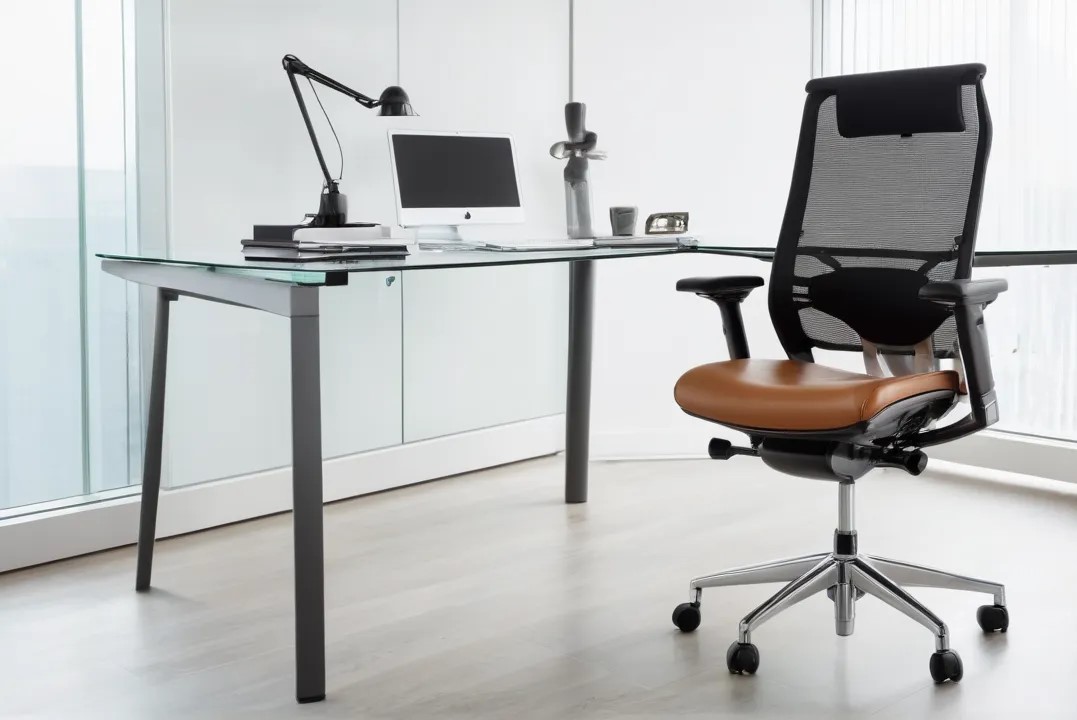 Ergonomic Chairs
