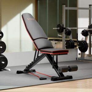 Cockatoo Alpha X10 Bench